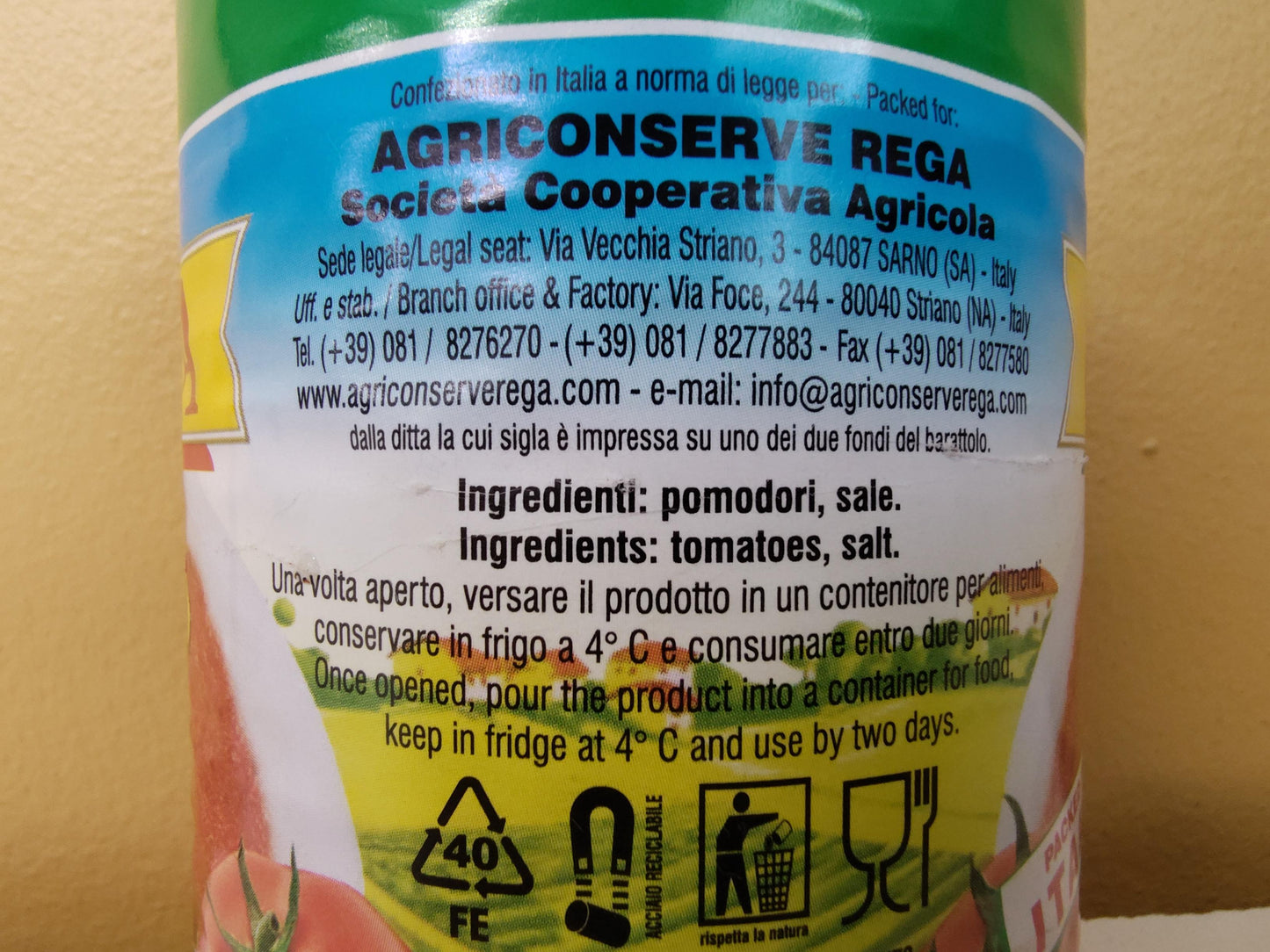 Rega Tomato Paste