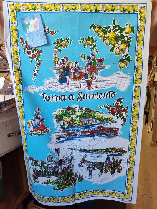 Rita's Multicolor Kitchen Towel