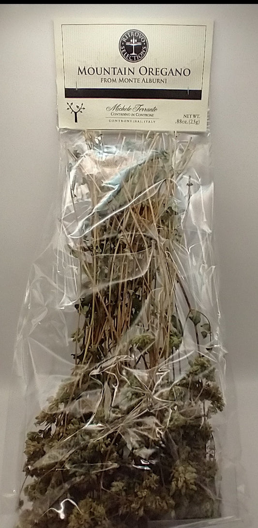 Mountain Oregano