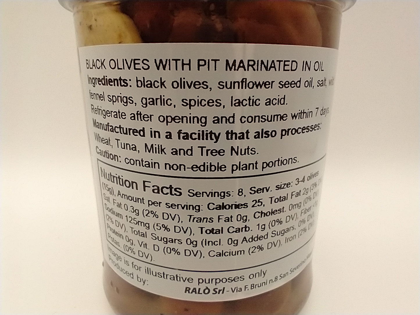 Castellino Marchigiana Leccino Olives